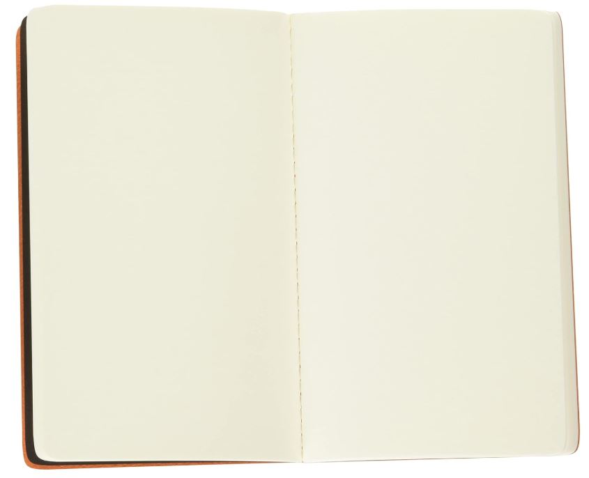 Dressco Stitched Notebook - Alezan Apricot Orange- Blesket Canada