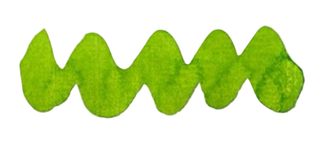 Diamine Forever Ink 50mL - Permanent Pigment Multi-use Ink - Hyper Green - Blesket Canada