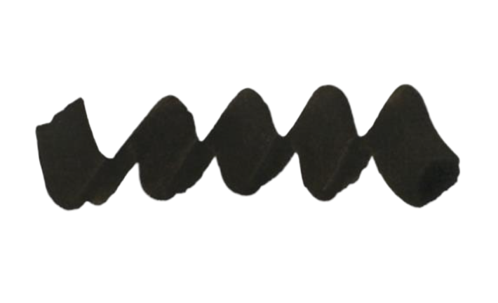 Diamine Forever Ink 50mL - Permanent Pigment Multi-use Ink - Raven - Blesket Canada