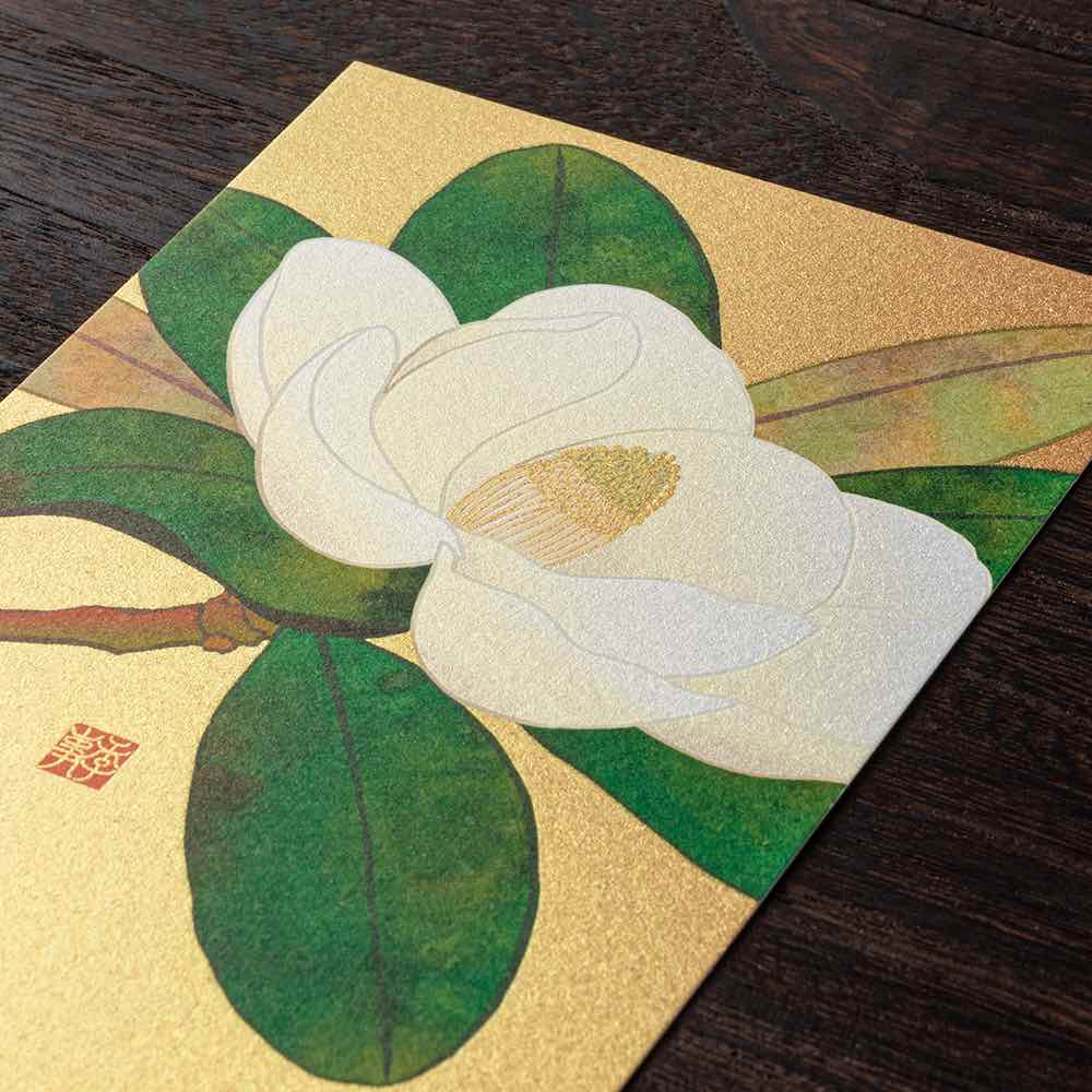Midori Postcard 026 Magnolia Tree - Blesket Canada