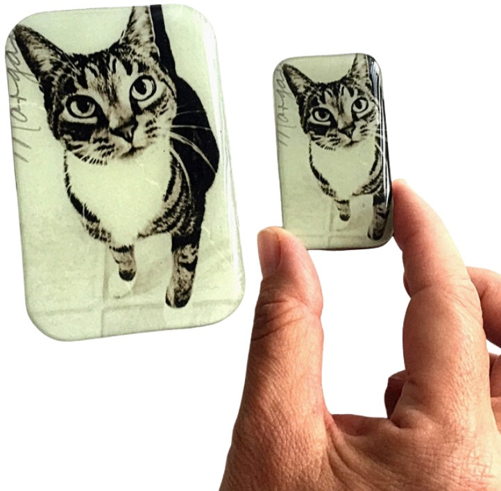 Firefly Notes - Cat Tin - Knitting Notions Tin – Large - Blesket Canada