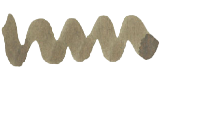 Diamine Ink 50 ml (Black Edition) Tundra - Blesket Canada