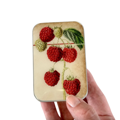 Firefly Notes - Raspberry Large Notions Tin – Stitch Marker Tin - Blesket Canada