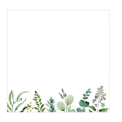 Peter Pauper Press - Eucalyptus Desk Notes - Blesket Canada