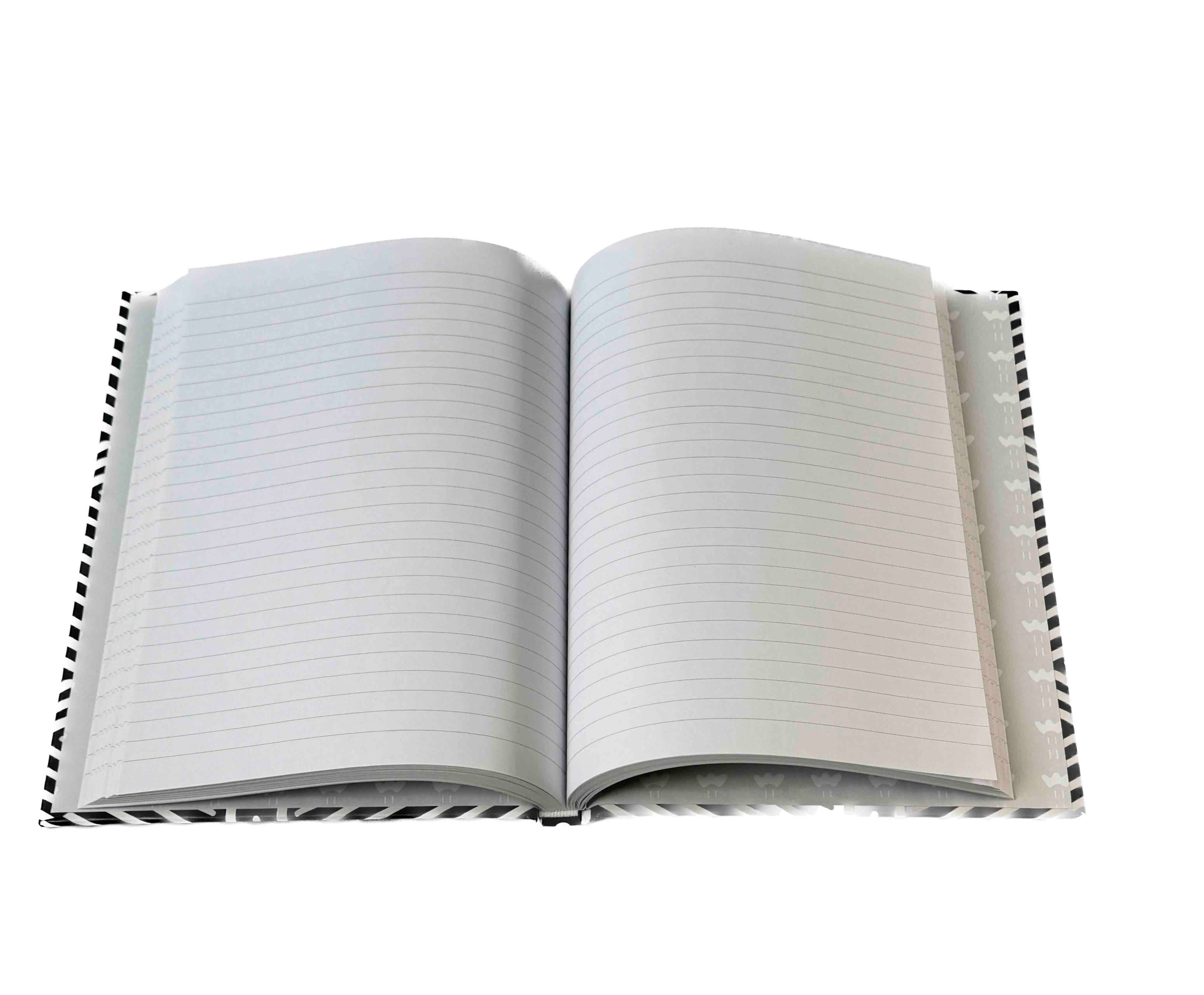 Pierre Belvedere - Lignes Marines Navy Lines - Blesket Canada