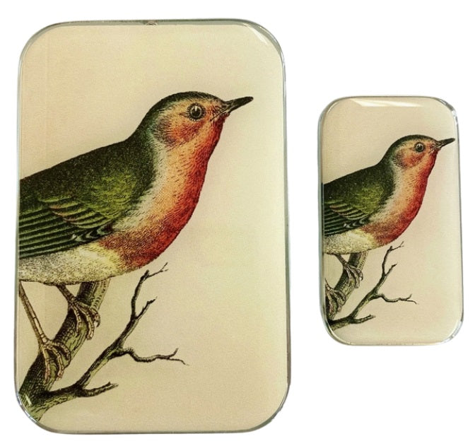 Firefly Notes Robin Notions Tin (020) – Large - Blesket Canada