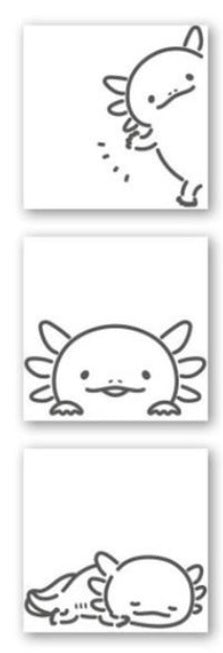 Sun-Star Pyokkori Stamp Axolotl - Blesket Canada