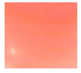 Sailor Manyo Bottled Fountain Pen Ink 50ML - SAKURA - Blesket Canada