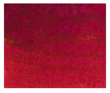 Sailor Manyo Bottled Fountain Pen Ink 50ML - UME - Blesket Canada