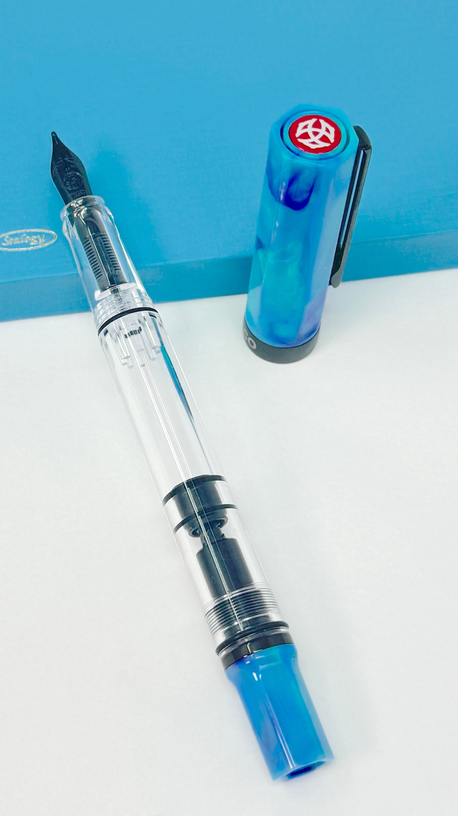 TWSBI ECO Fountain Pen - Cosmo with Onyx Trim - Blesket Canada