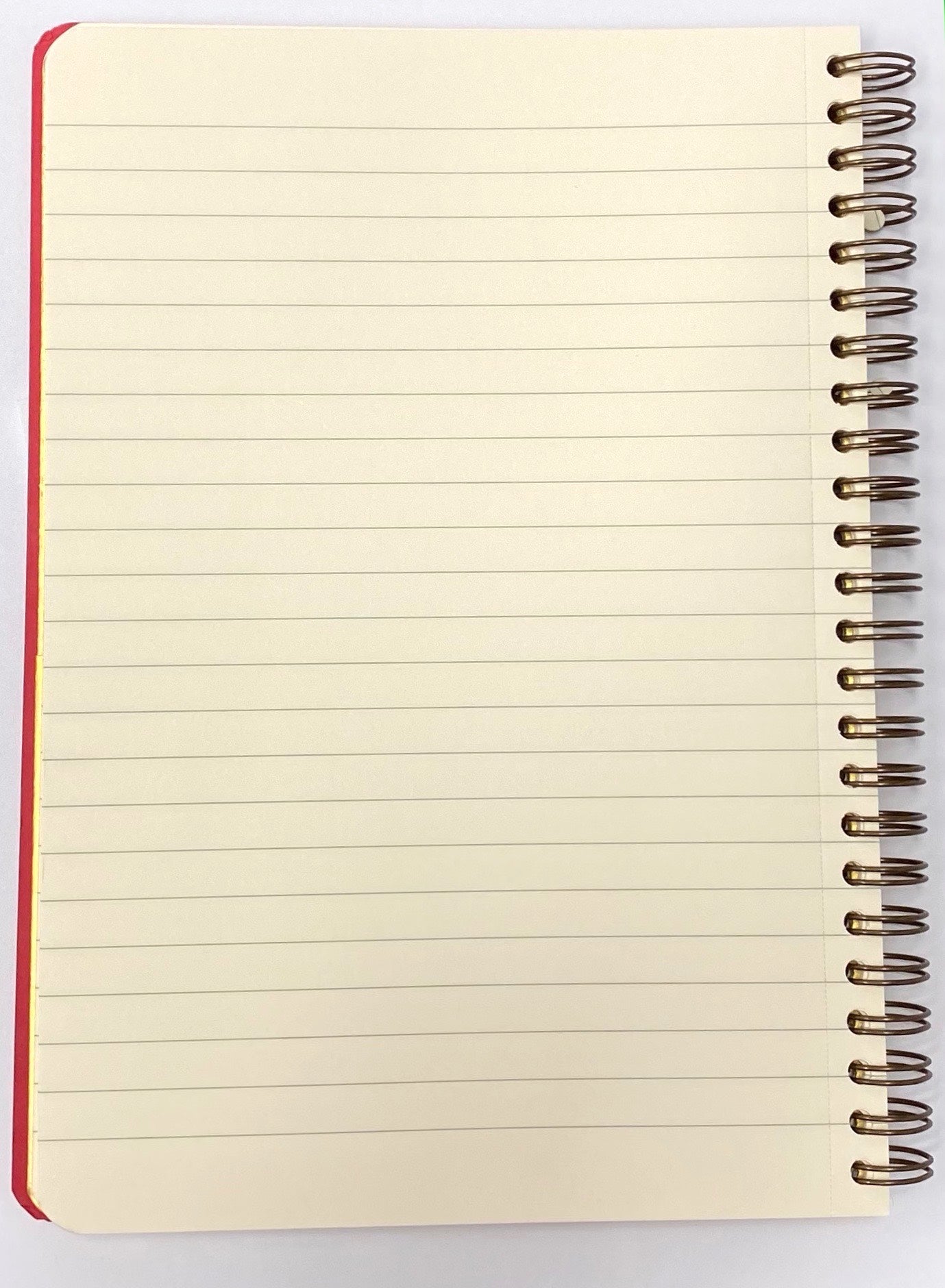 Clairefontaine Wirebound with Pockets Notebook