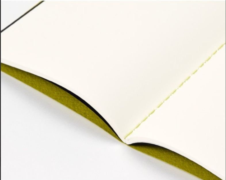 Dressco Stitched Notebook - Alezan Avocado Green - Blesket Canada