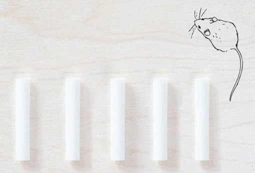 Tom's Studio Field Mouse – Spare Ink Reservoirs - Pack of 5 - Blesket Canada