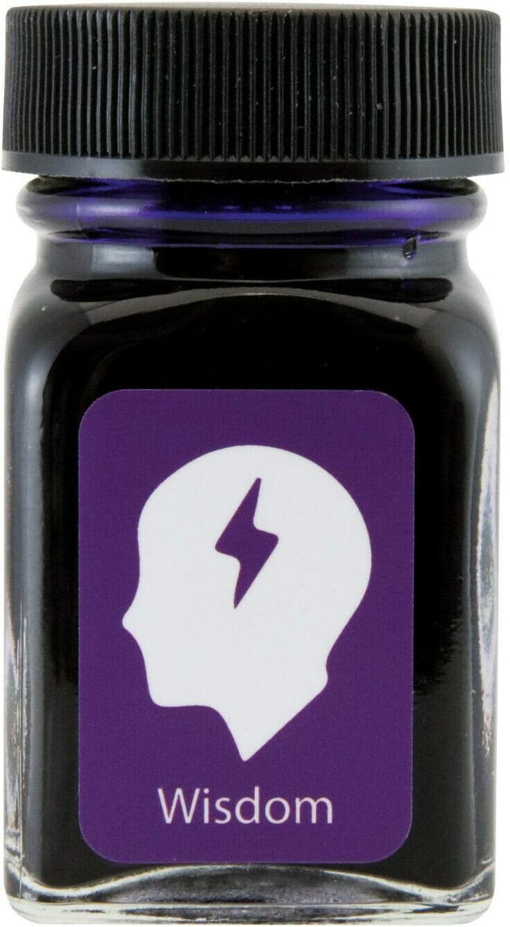 Monteverde Ink Bottle 30ml Emotions Collection - Wisdom Purple - Blesket Canada