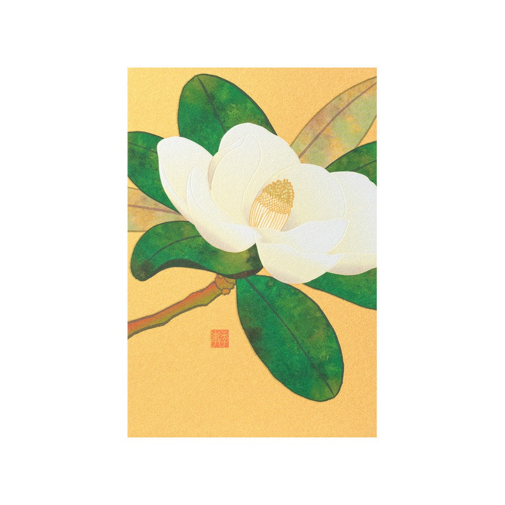 Midori Postcard 026 Magnolia Tree - Blesket Canada