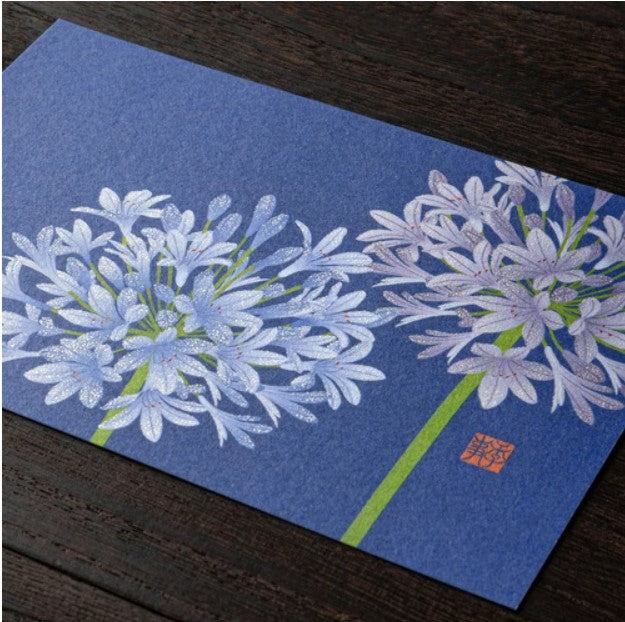 Midori Postcard 027 Agapanthus Pattern - Blesket Canada