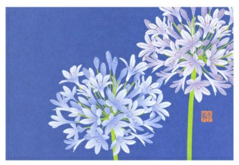 Midori Postcard 027 Agapanthus Pattern - Blesket Canada