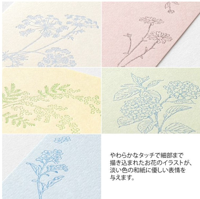 MIDORI Hanairo Washi Postcard Set – 5 Colors - Blesket Canada