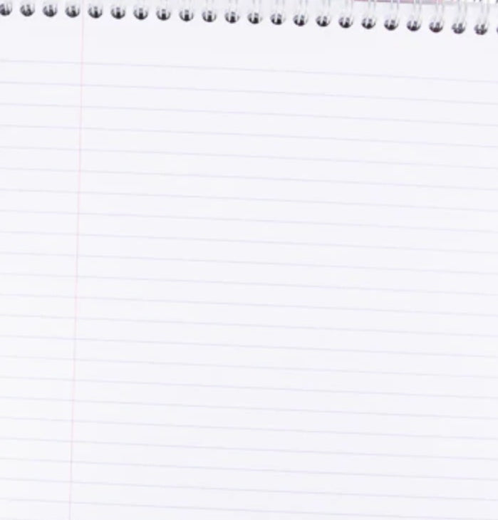 Clairefontaine Wirebound Notepad Pupitre Lined + Margin A4 160 Pages – Assorted Covers - Blesket Canada