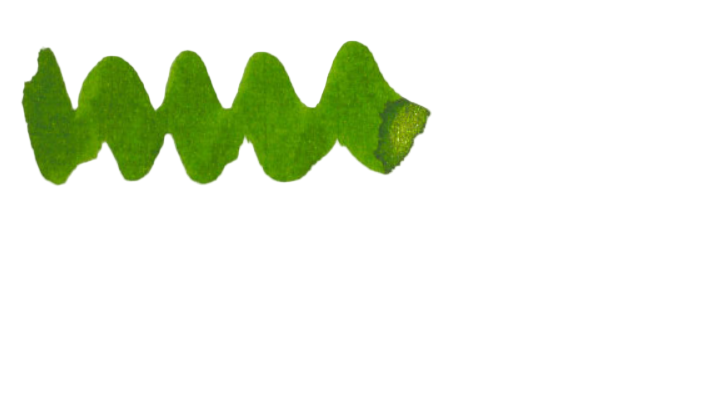 Diamine Ink 50 ml (Black Edition) Pine Needle - Blesket Canada