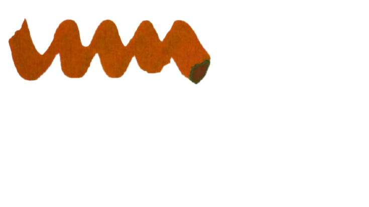 Diamine Ink 50 ml (Black Edition) Sleight Ride - Blesket Canada