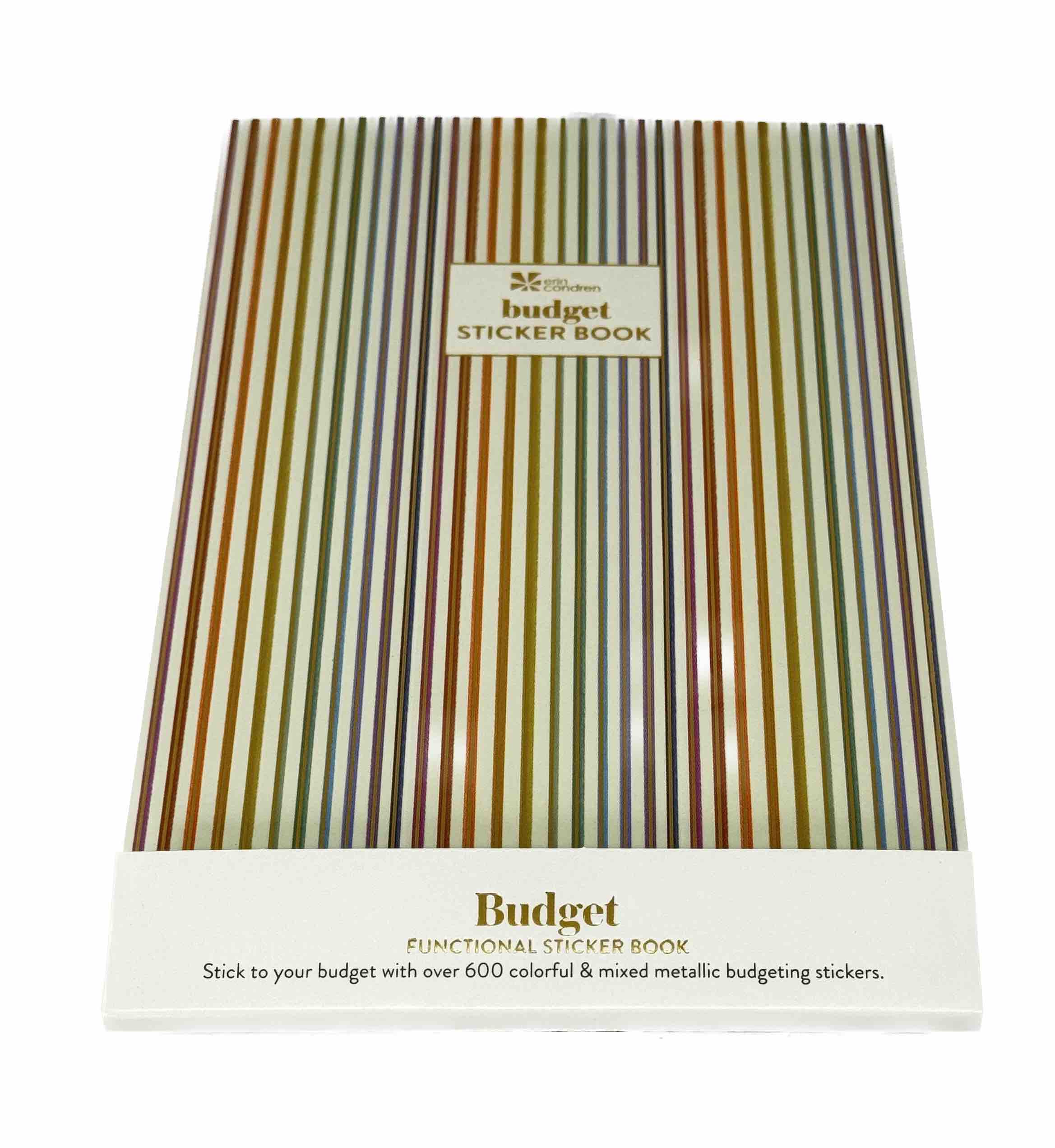 Erin Condren Designer Budget Sticker Book - Blesket Canada