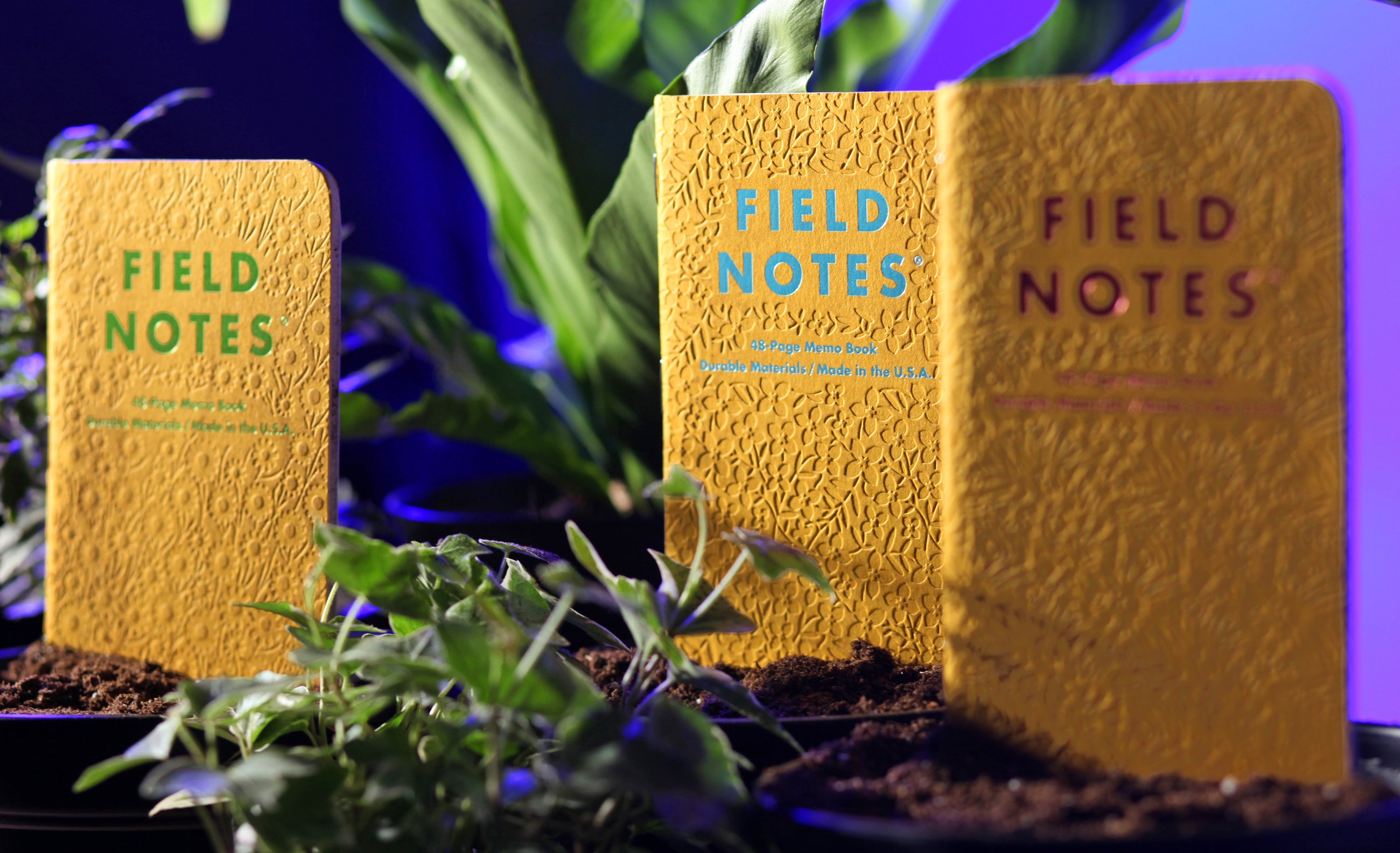 Field Notes QUARTERLY Edition - Signs of Spring (3-Pack) - Blesket Canada