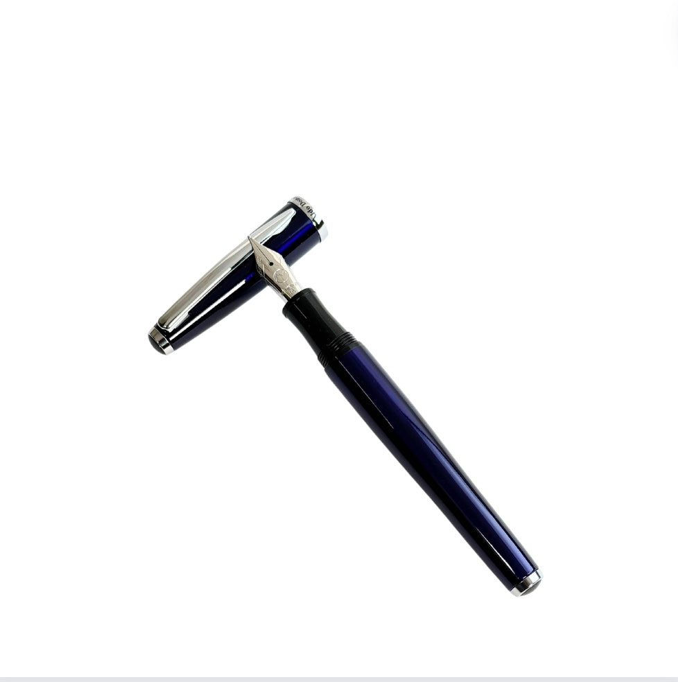 Monteverde Aldo Domani Fountain Pen - Blesket Canada