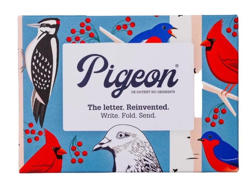 Carnival of Colour Pigeon, Folding Letter Pack, Pack of 6 - Blesket Canada