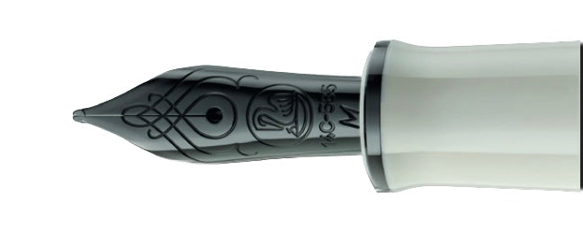 Pelikan Special Edition Souverän M670 Warm Grey Fountain Pen - Blesket Canada