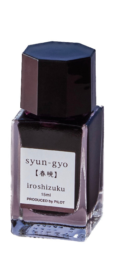 Pilot Iroshizuku fountain pen ink 15ml - syun-gyo - Blesket Canada