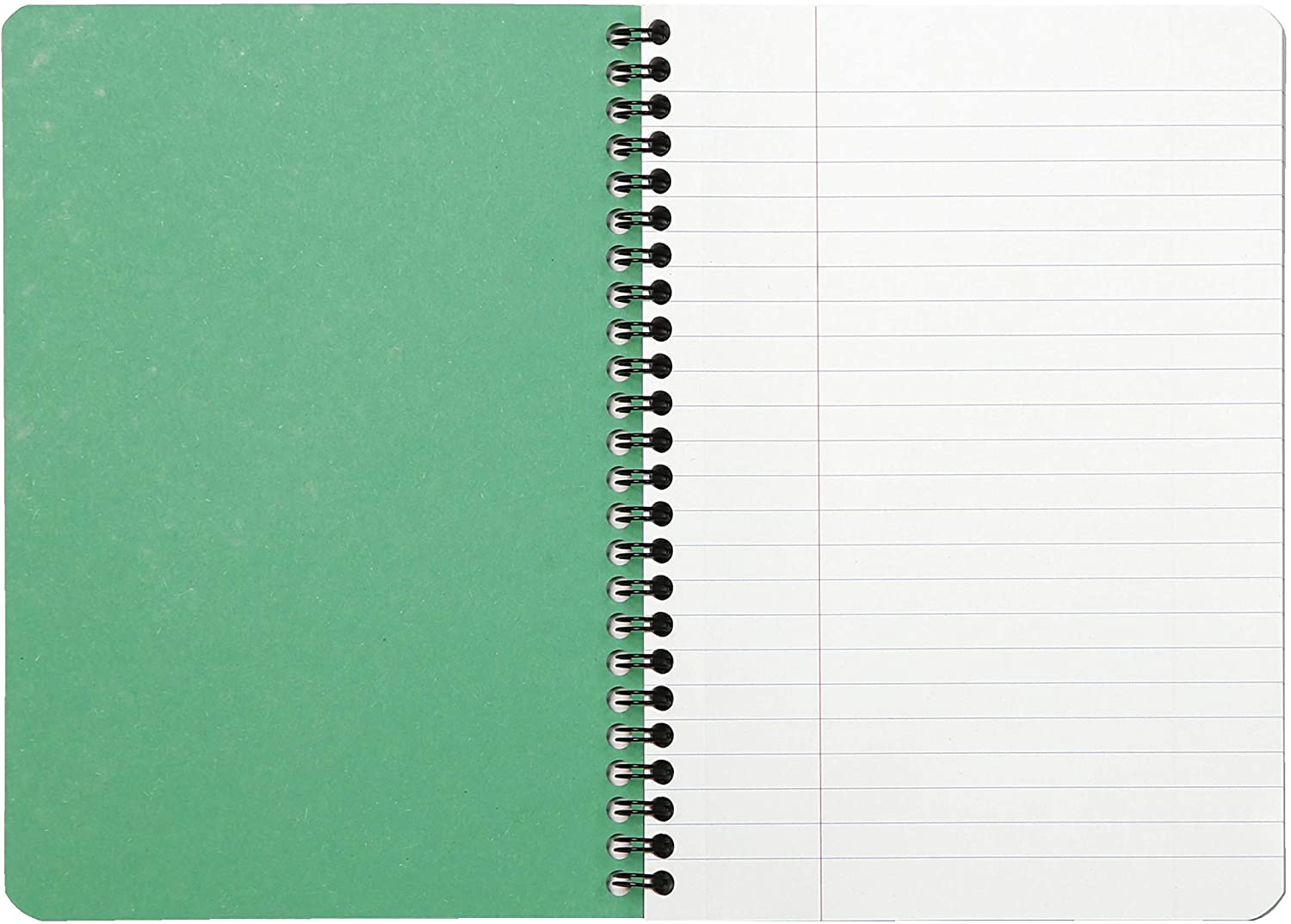 Clairefontaine Forever Wirebound A4 Notebook Lined