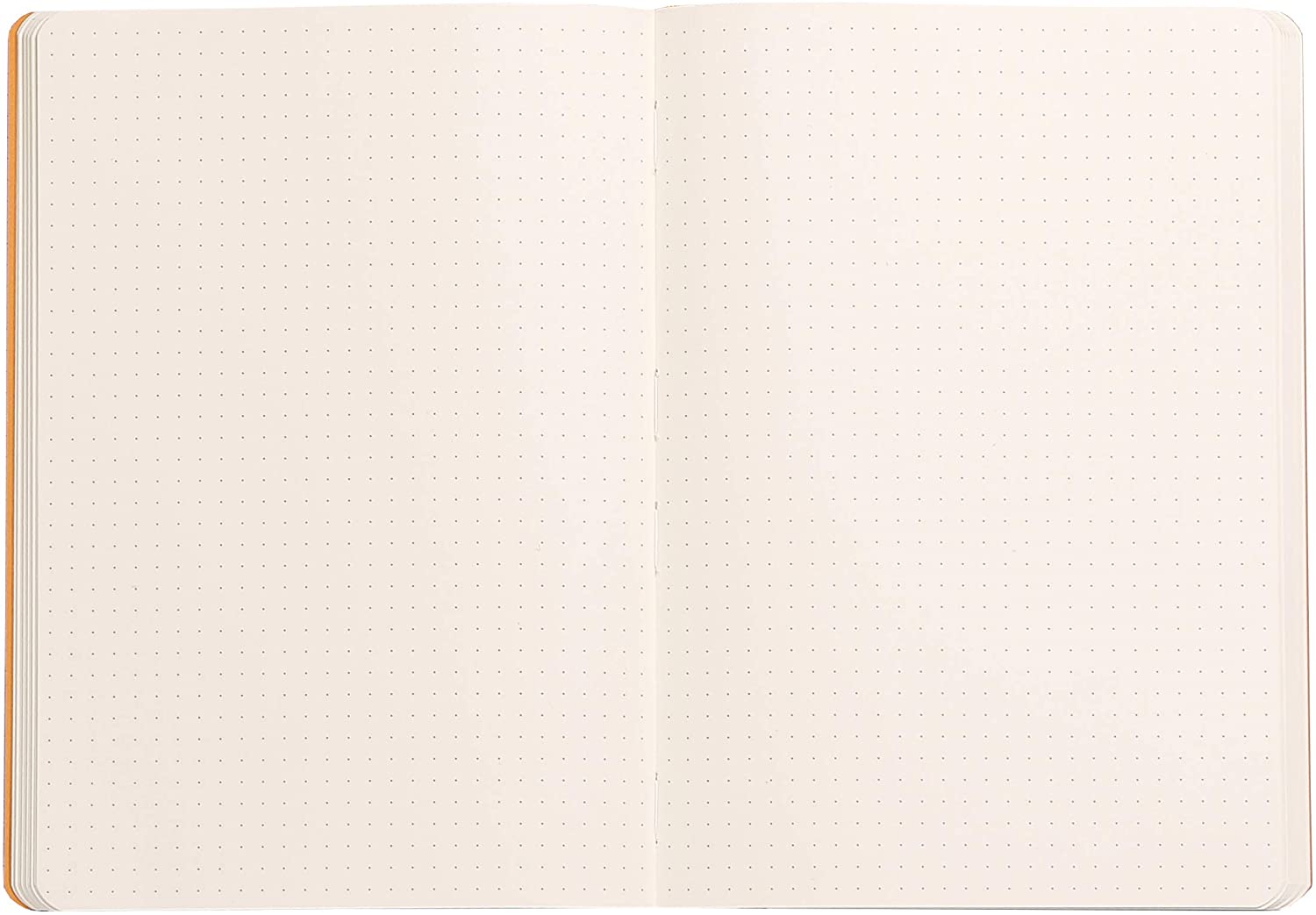 Rhodiarama Soft cover notebook A5 Dot Grid Sage