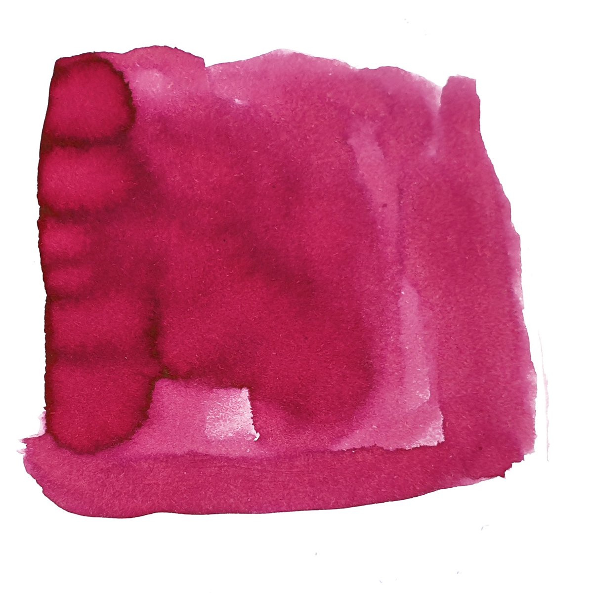 Van Dieman's Harvest 30ml Ink Bottle - Rhubarb Crumble - Blesket Canada